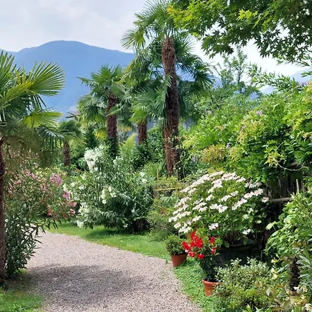 Nora S 1 - Panoramic Terrace & Bio Garden