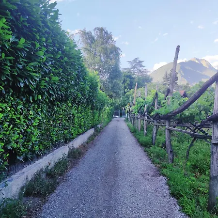 Appartement Nora S 1 - Panoramic Terrace & Bio Garden Merano