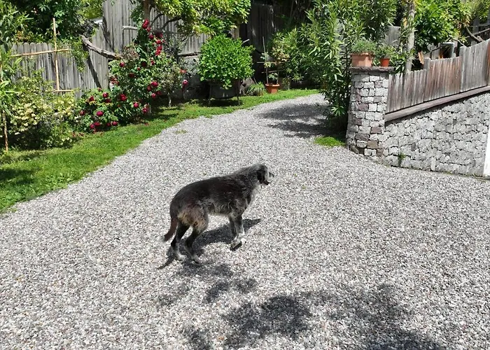 Апартаменты Nora S 1 - Panoramic Terrace & Bio Garden *