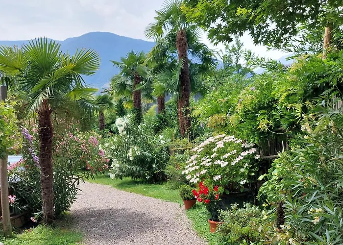 Nora S 1 - Panoramic Terrace & Bio Garden